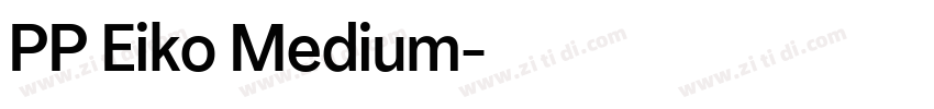 PP Eiko Medium字体转换 PP Eiko Medium字体转换